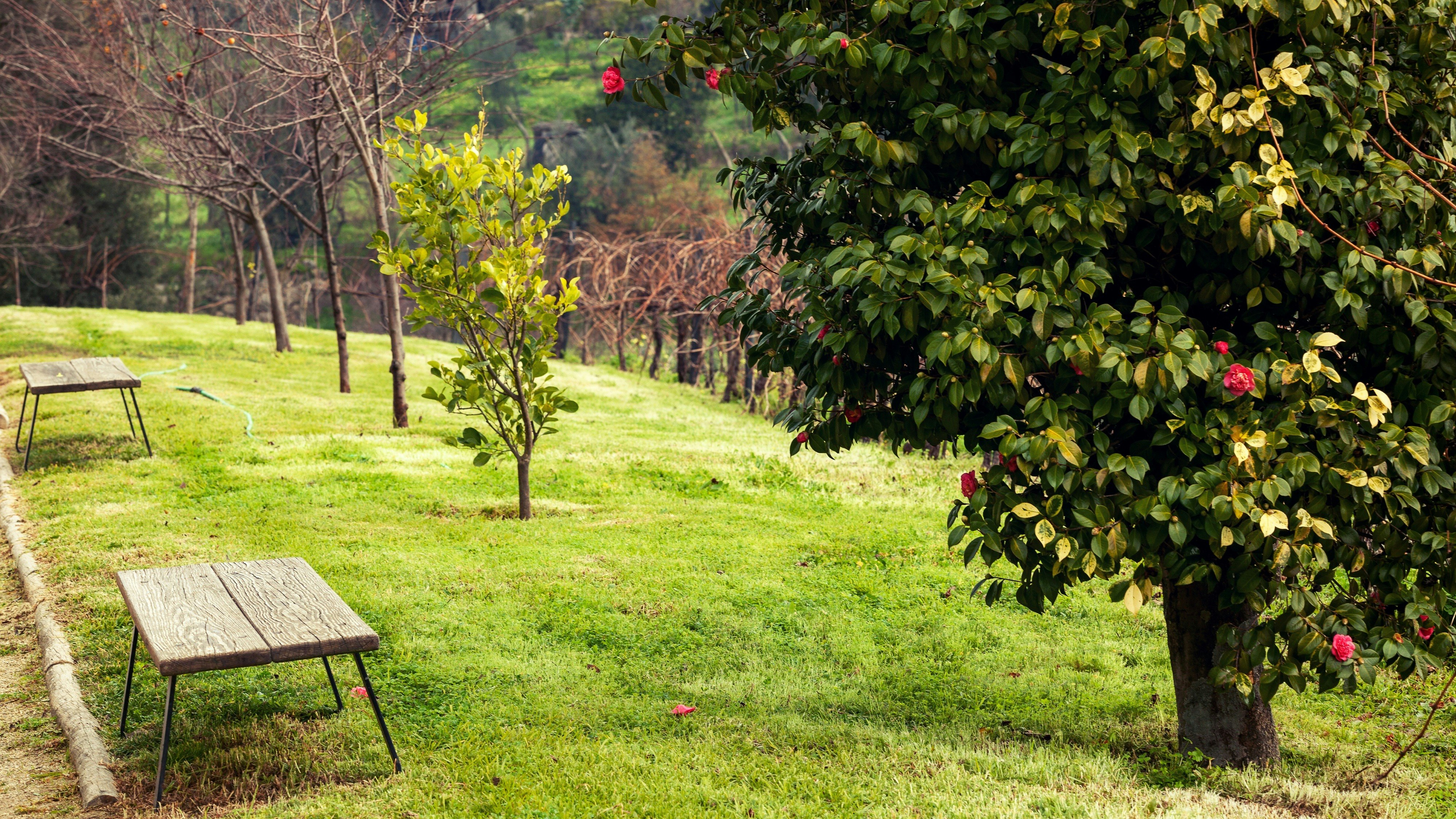 Douro Palace Hotel Resort Spa 75/80