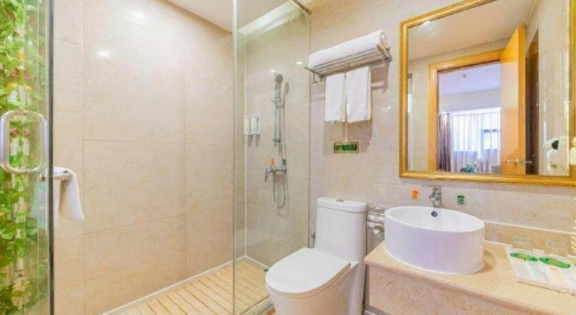 Vienna Hotel (Shenzhen Bantian Vanke Diwuyuan) 44/49