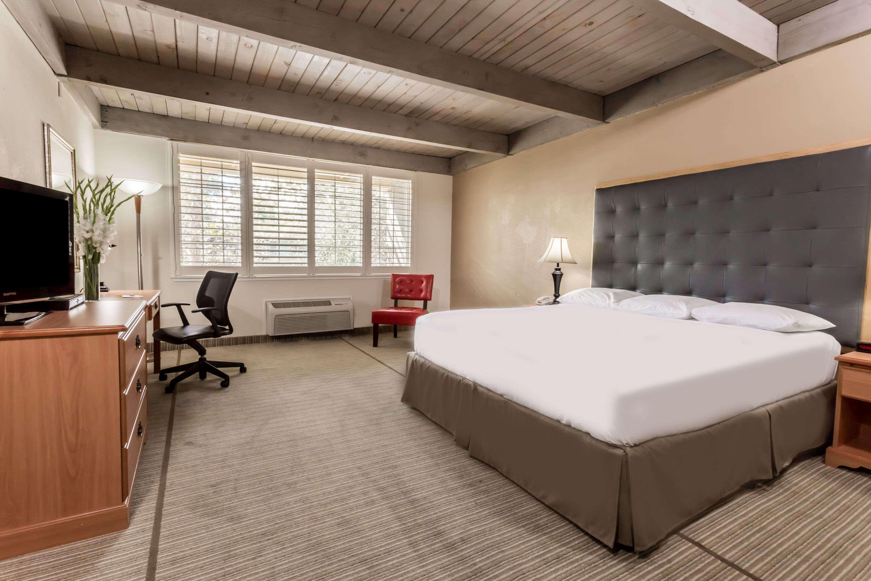 Room, King Bed, Accessible