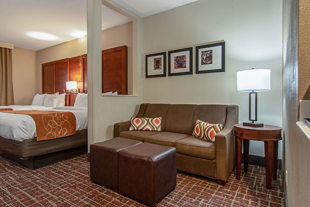 Comfort Suites NW Dallas Near Love Field 30/49