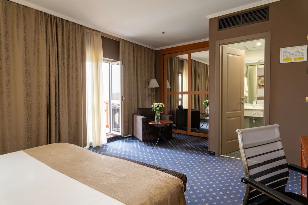 Best Western Plus Congress Hotel 32/77
