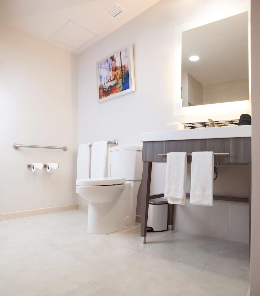 Hampton Inn Suites By Hilton Aguascalientes Airport 28/58