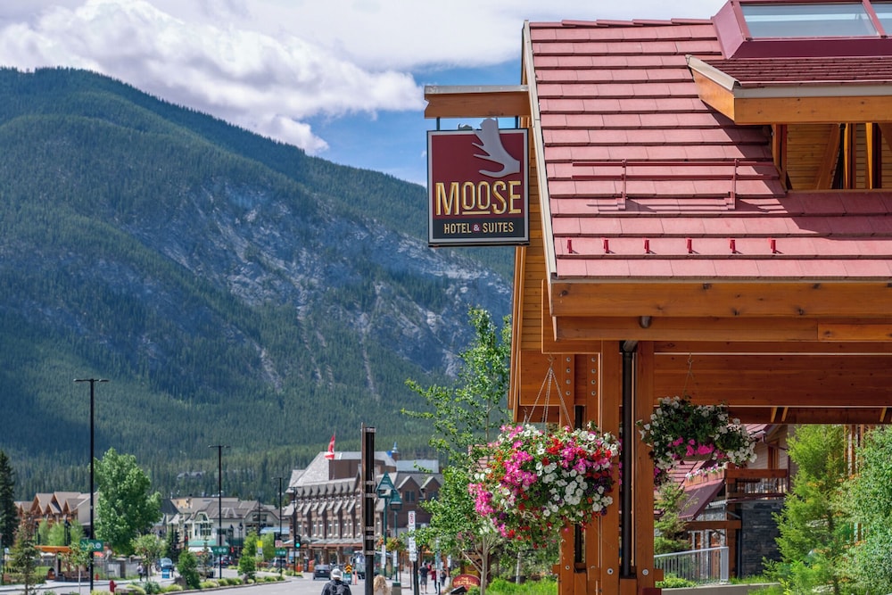 Moose Hotel And Suites 8/66