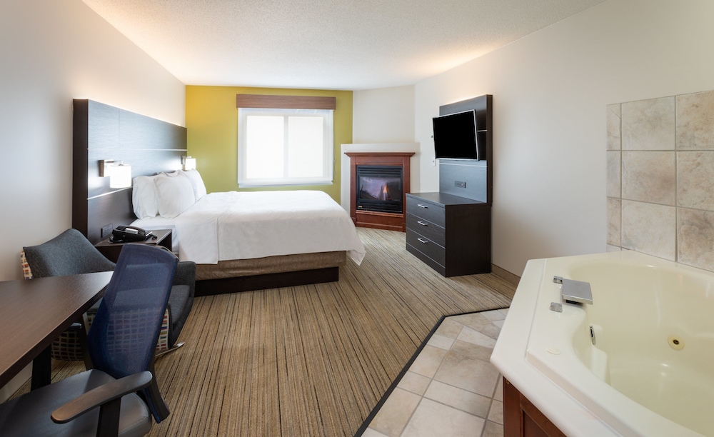 Holiday Inn Express Suites Minneapolis Downtown 15/57