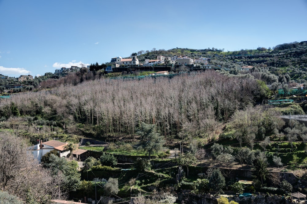 Agriturismo Oleum 33/44