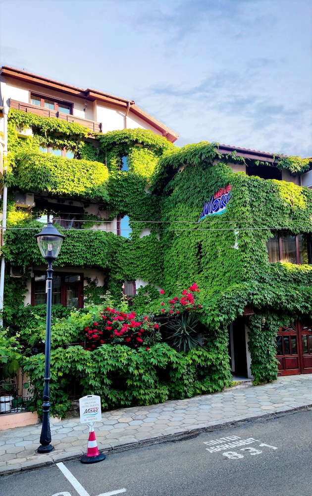 Hotel More 40/50