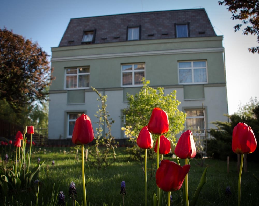 Jagello Business Hotel 4/39