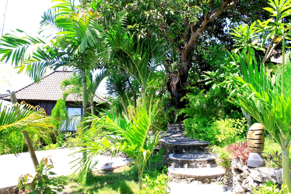 Sunrise Hut's Lembongan 46/54