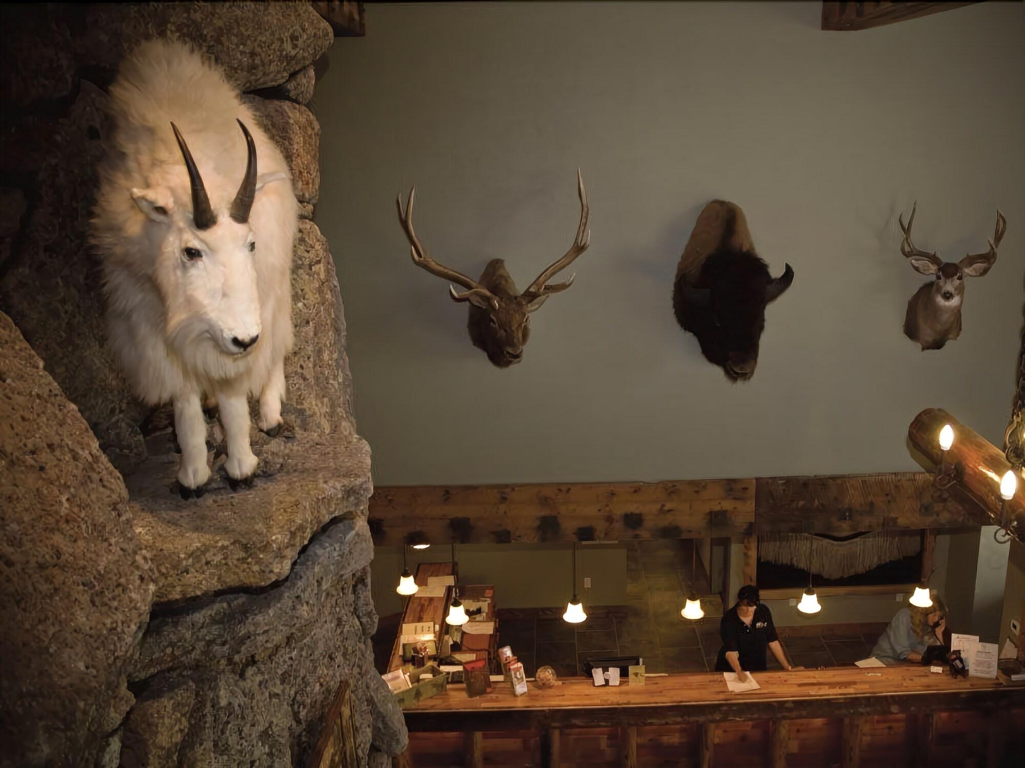Three Bear Lodge 19/21