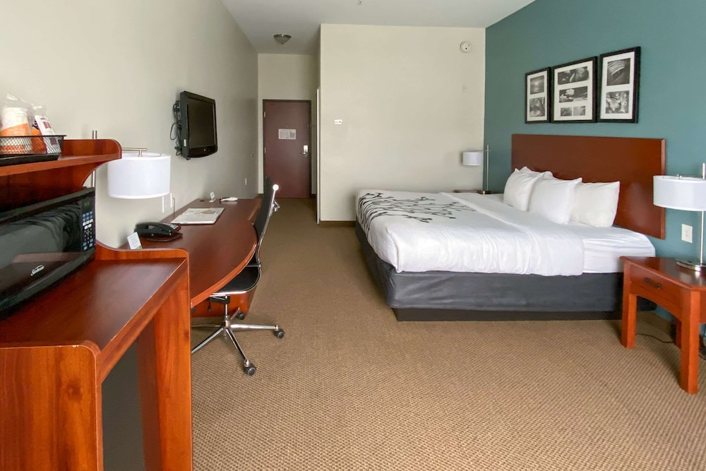 Sleep Inn Suites Pearland Houston South 14/35