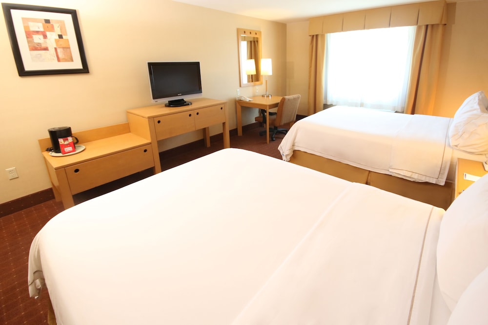 Holiday Inn Express Hotel & Suites Cd. Juarez - Las Misiones 20/76