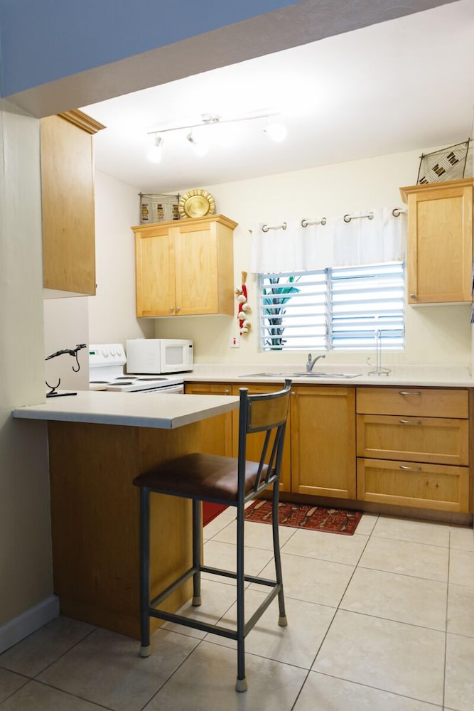 New Kingston Guest Apartment Vii 3/32