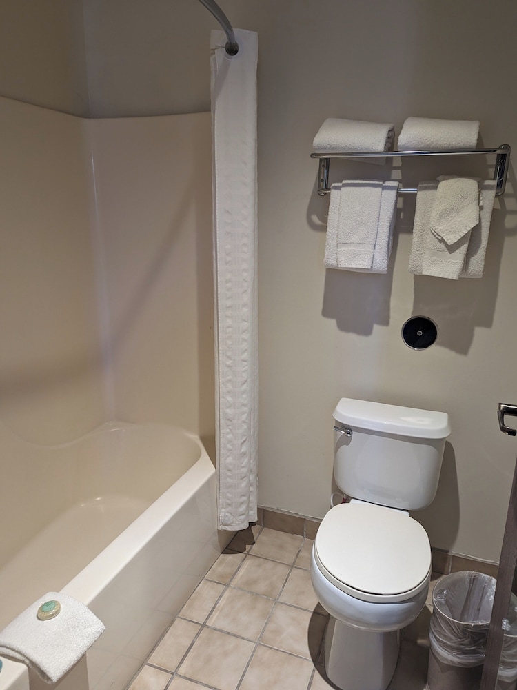 جناح استوديو بسرير كينج وسرير كوين، Sagebrush Inn Suites 6/7
