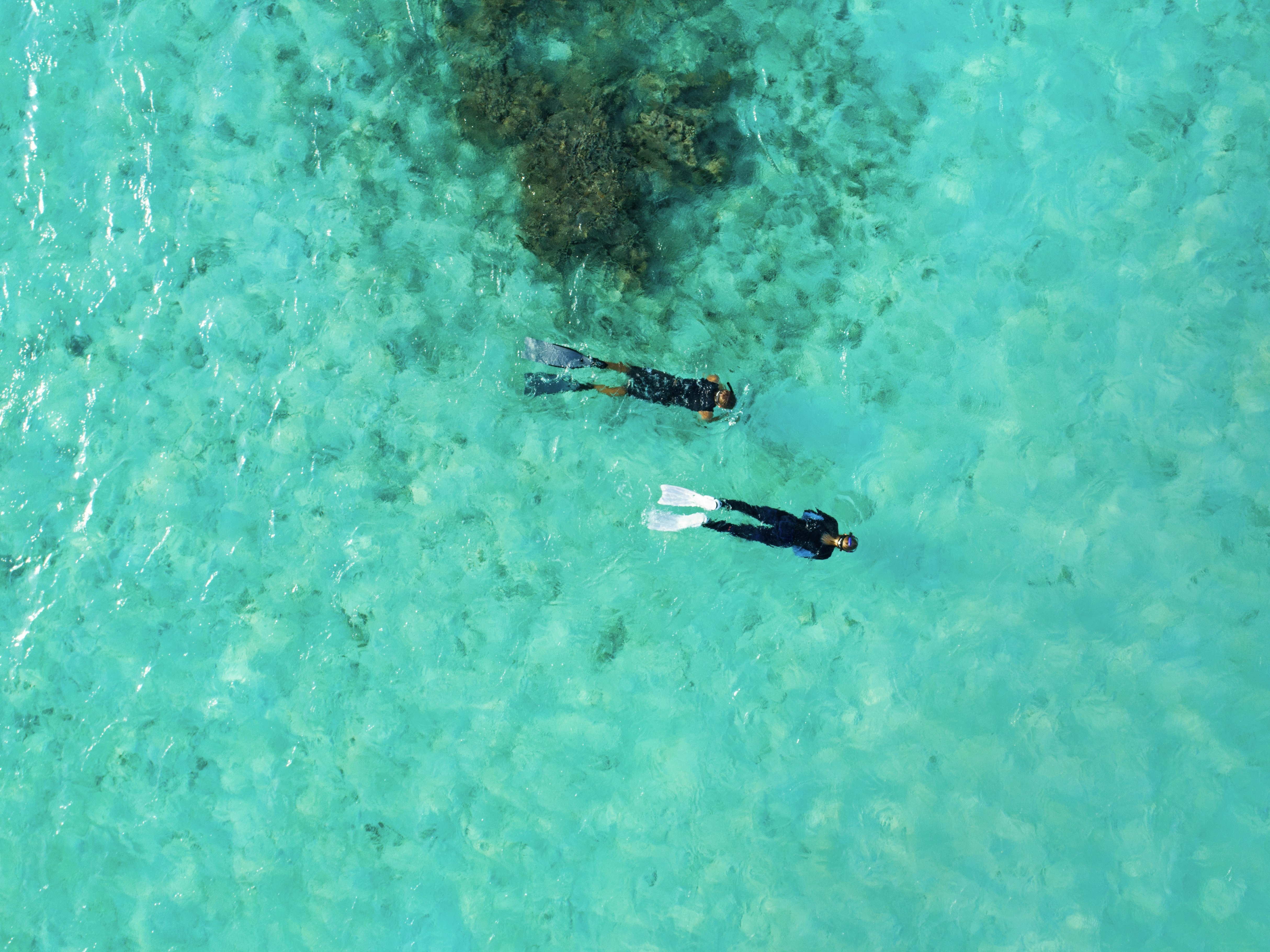 Taj Coral Reef Resort and Spa 61/85