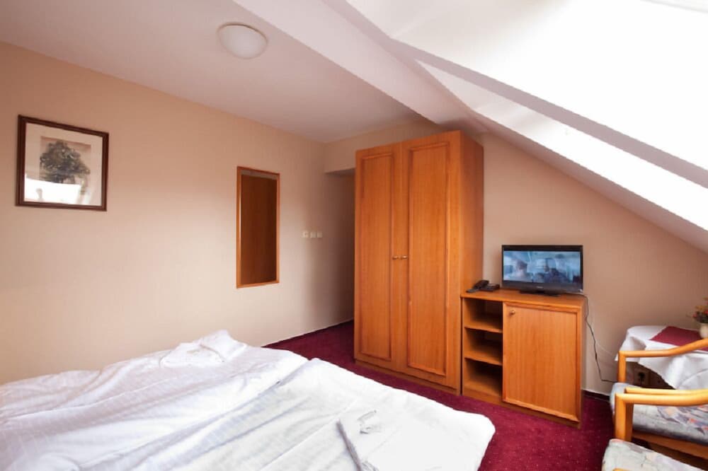 Hotel U Cerného Orla 7/41