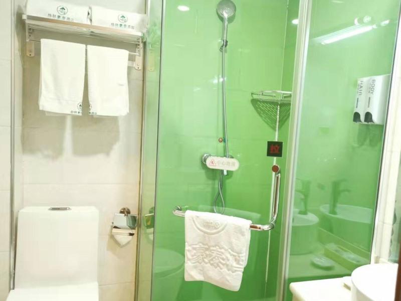 GreenTree Xining Chengzhong Area Dongguan Street Street Hotel 31/32