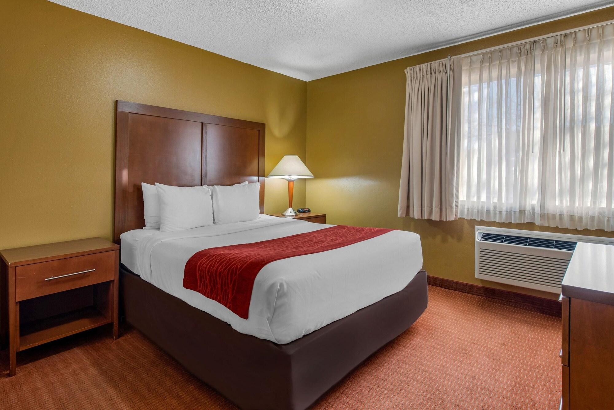 Family Suite, Multiple Beds