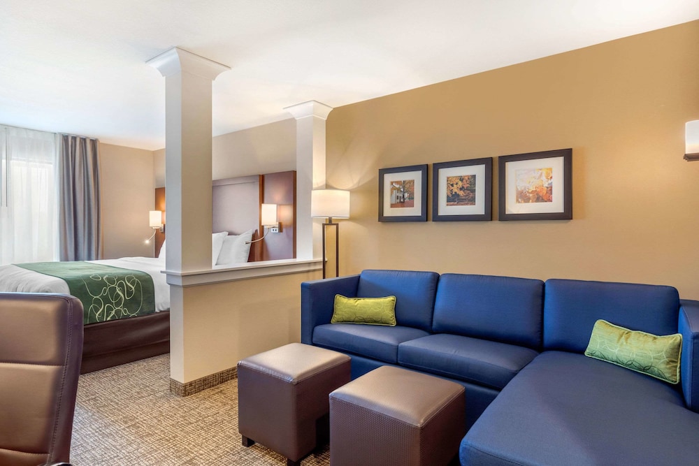 Comfort Inn Suites Schenectady - Scotia 33/44