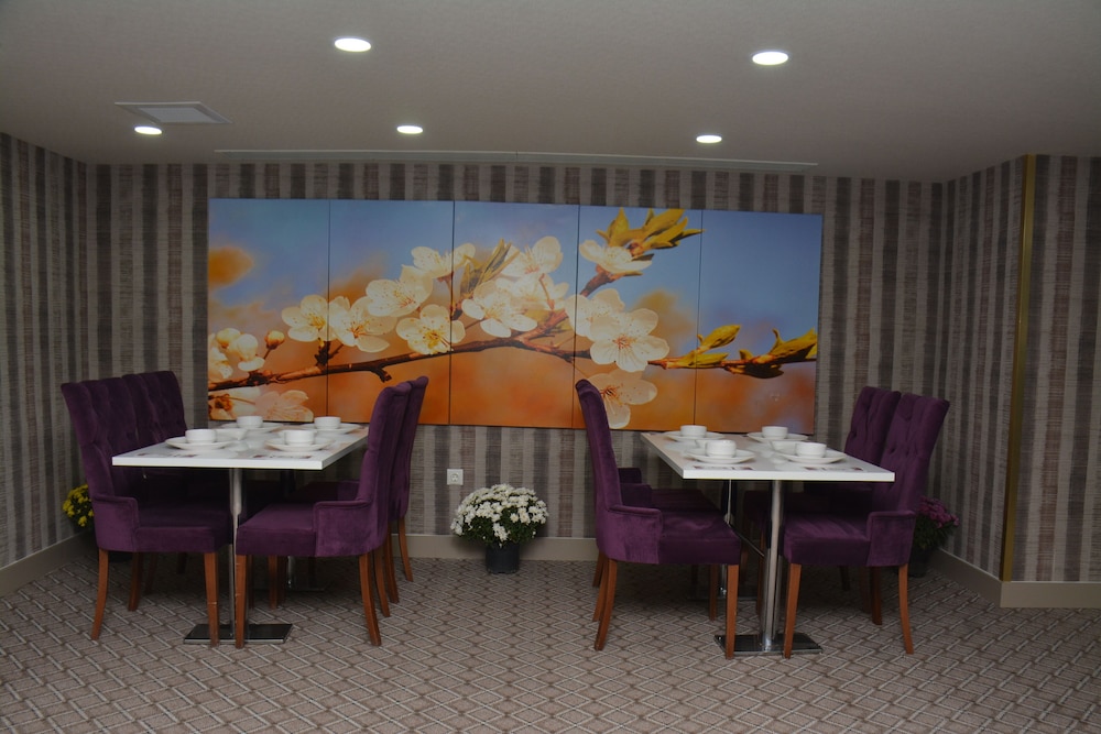 Koza Millenyum Hotel Spa Ex Millennium Hotel Spa 36/50