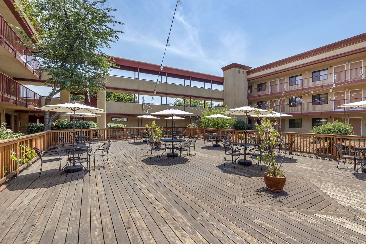 Best Western Plus Orchid Hotel & Suites 54/59