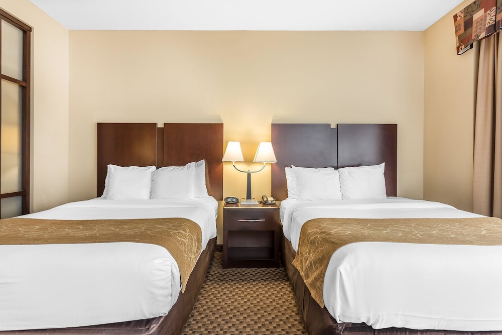 Comfort Suites West of The Ashley 16/46