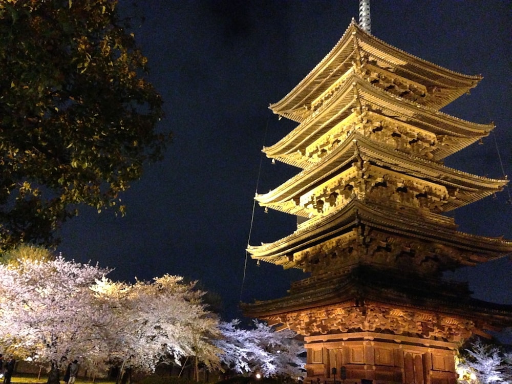 Hotel Livemax BUDGET Kyoto Ekimae 45/49