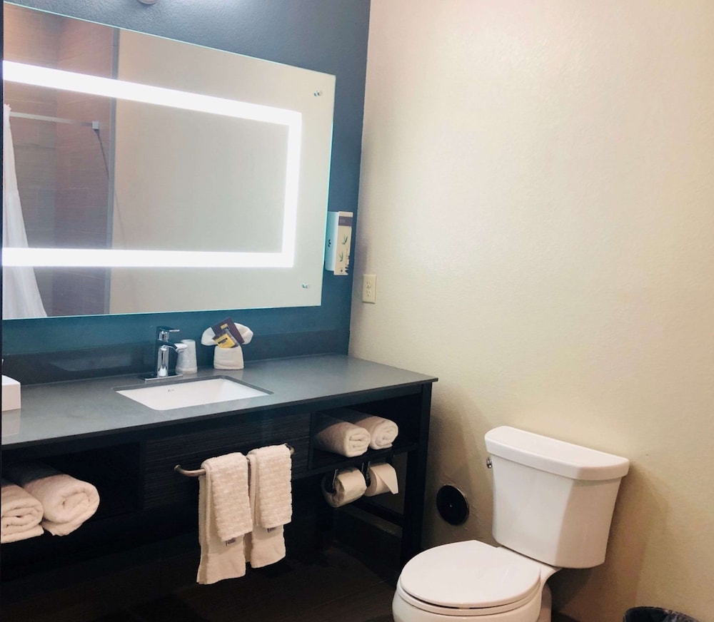 Best Western Plus Pflugerville Inn and Suites 18/37