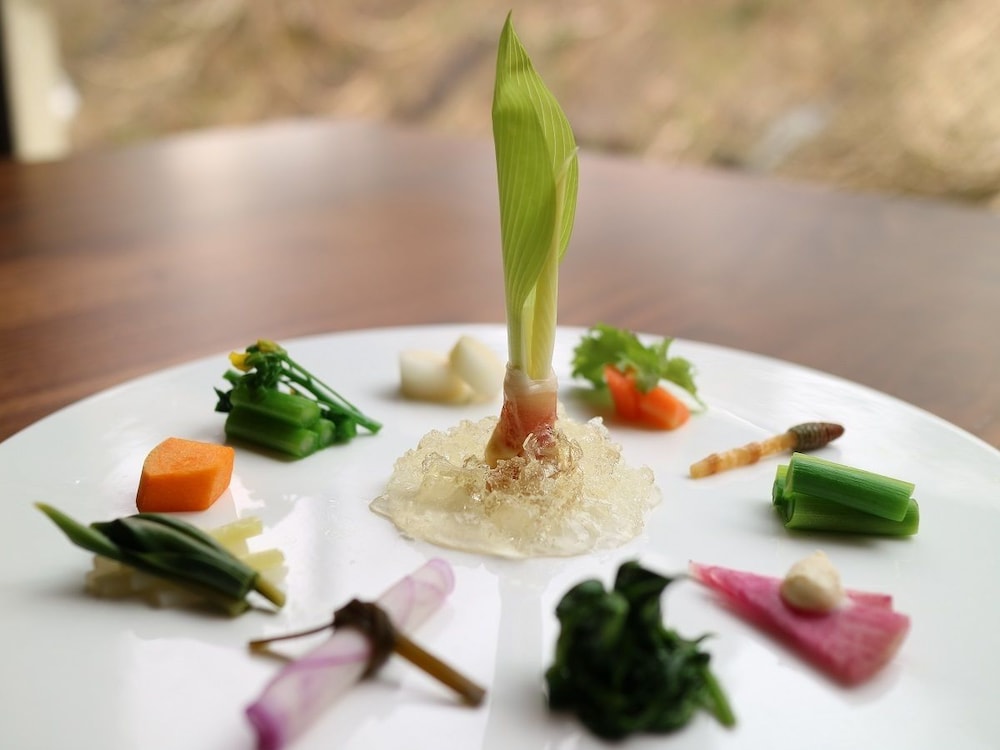 Matsunoyama Onsen Sake Hotel Tamakiya 44/50