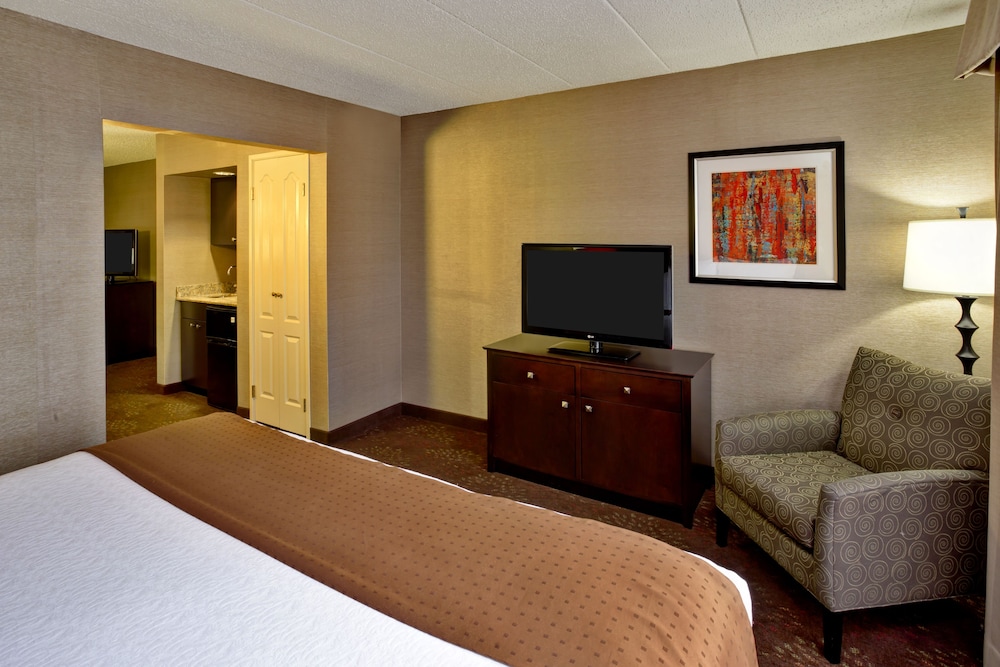 Holiday Inn & Suites Chicago Northwest - Elgin 31/62