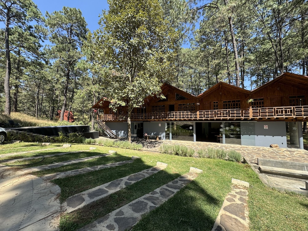 PINE TREE Hotel Boutique and Cabanas 50/56
