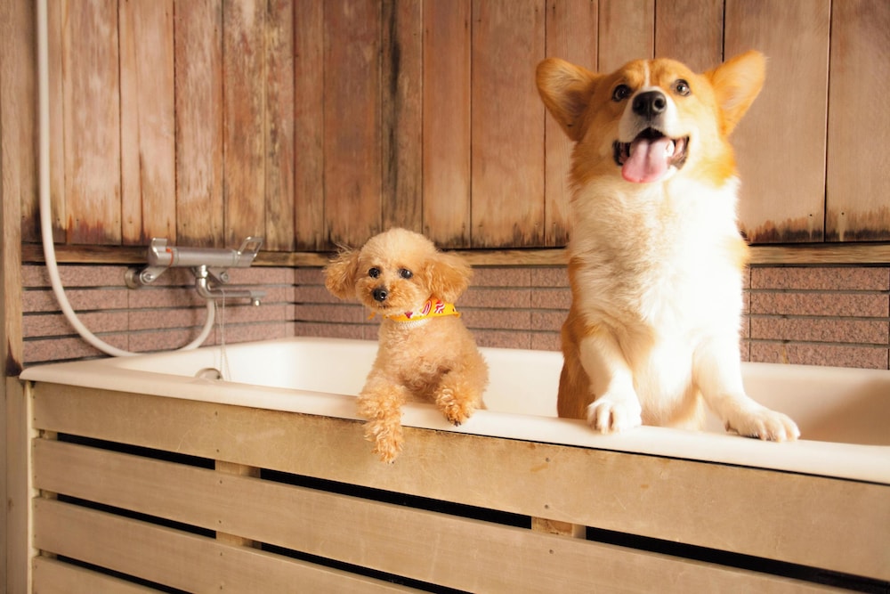 Izumigo Takayama Dog Paradise Hotel 13/67