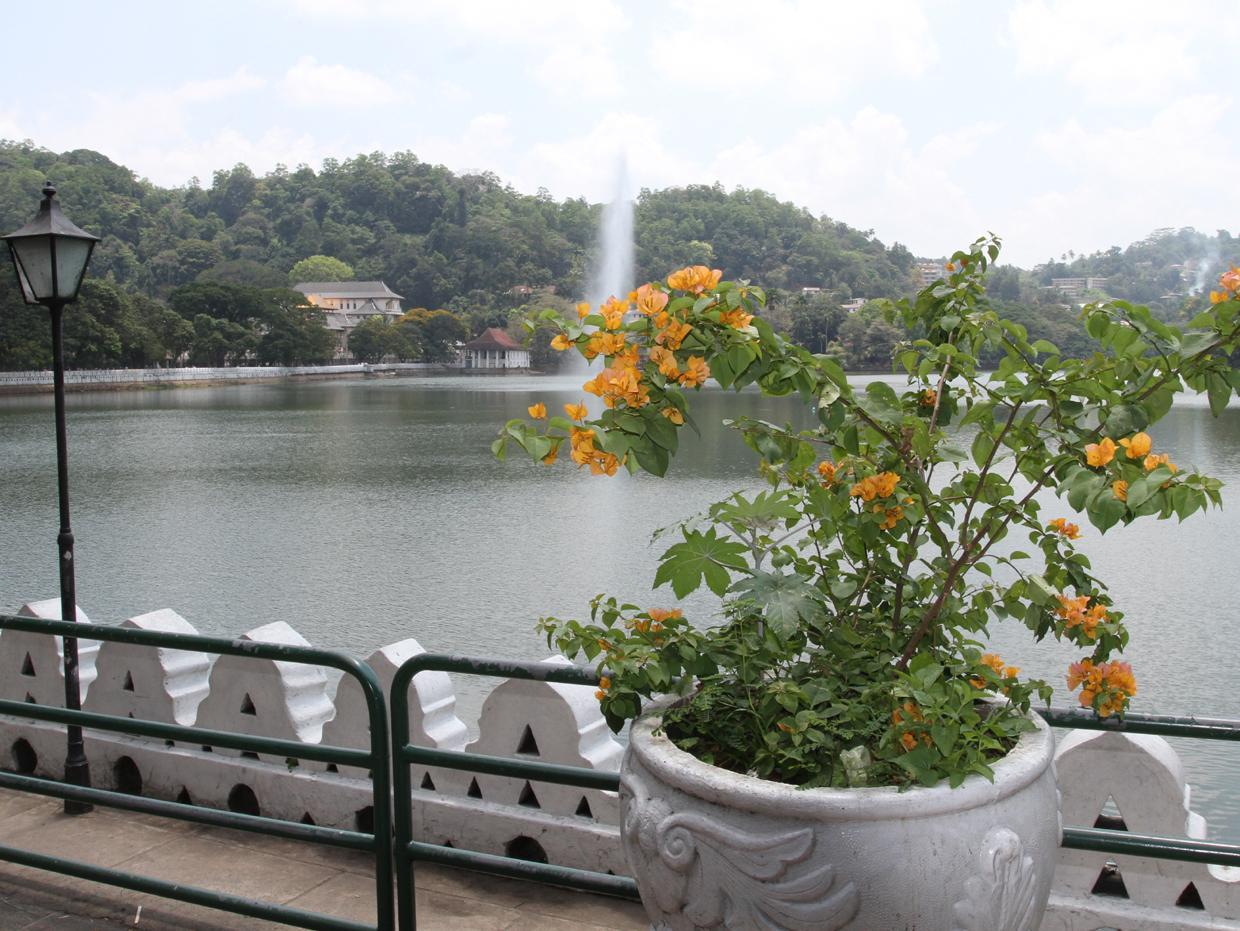 Peradeniya Rest Inn 13/16