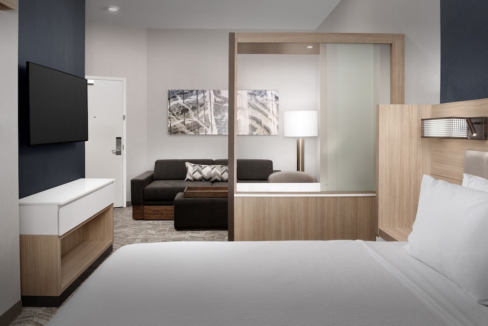 SpringHill Suites by Marriott Fayetteville I 95 42/42