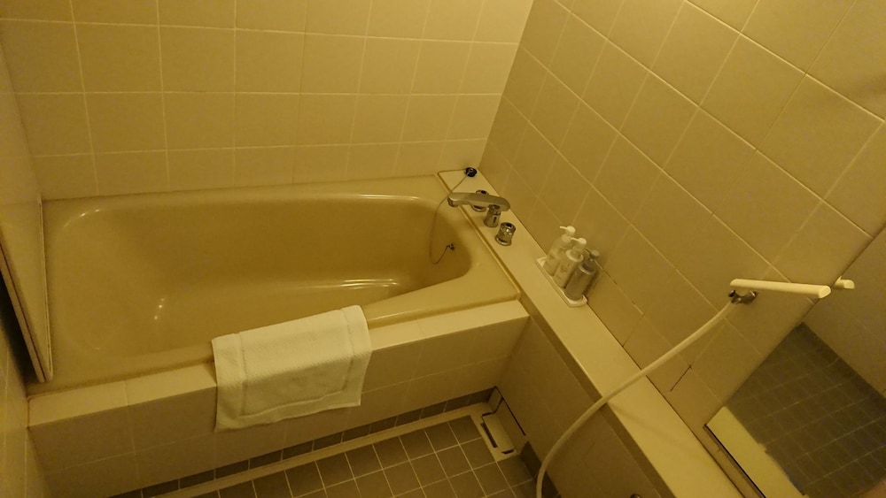 Satsuma Resort Hotel 12/62