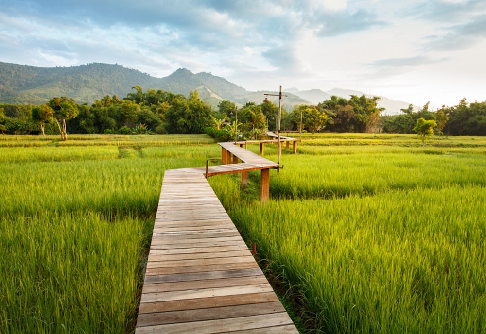 RAI SAENG ARUN RESORT 41/50