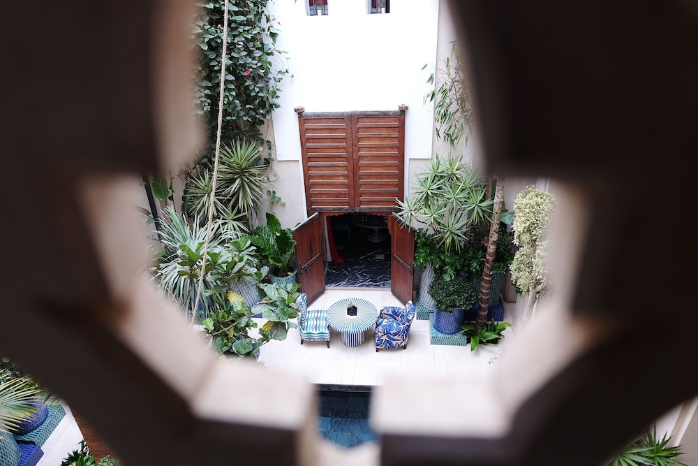 Riad Due 11/50