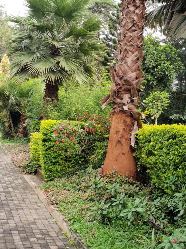 Spurwing Guest House 39/50