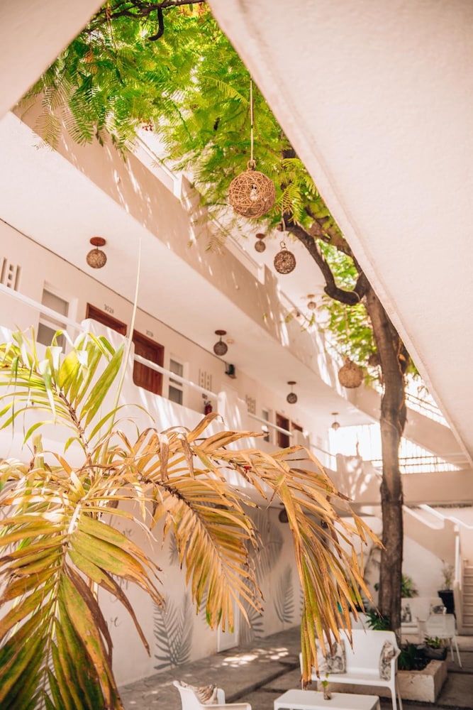 Ahava Hotel (ex Maria Candelaria Hotel) 2/43