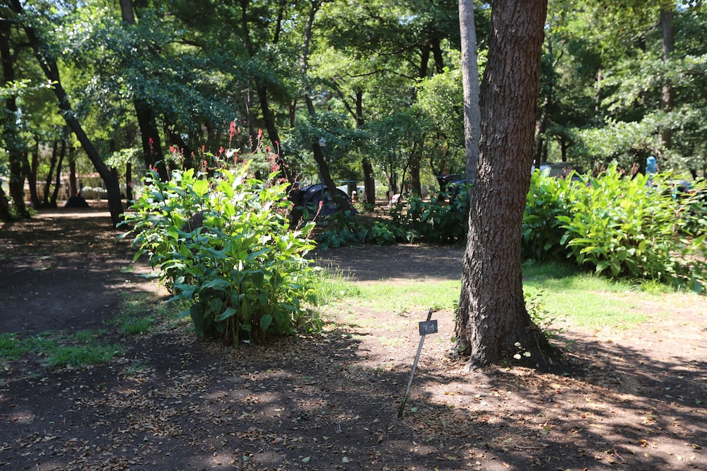 Camping Dolce Vita 34/50
