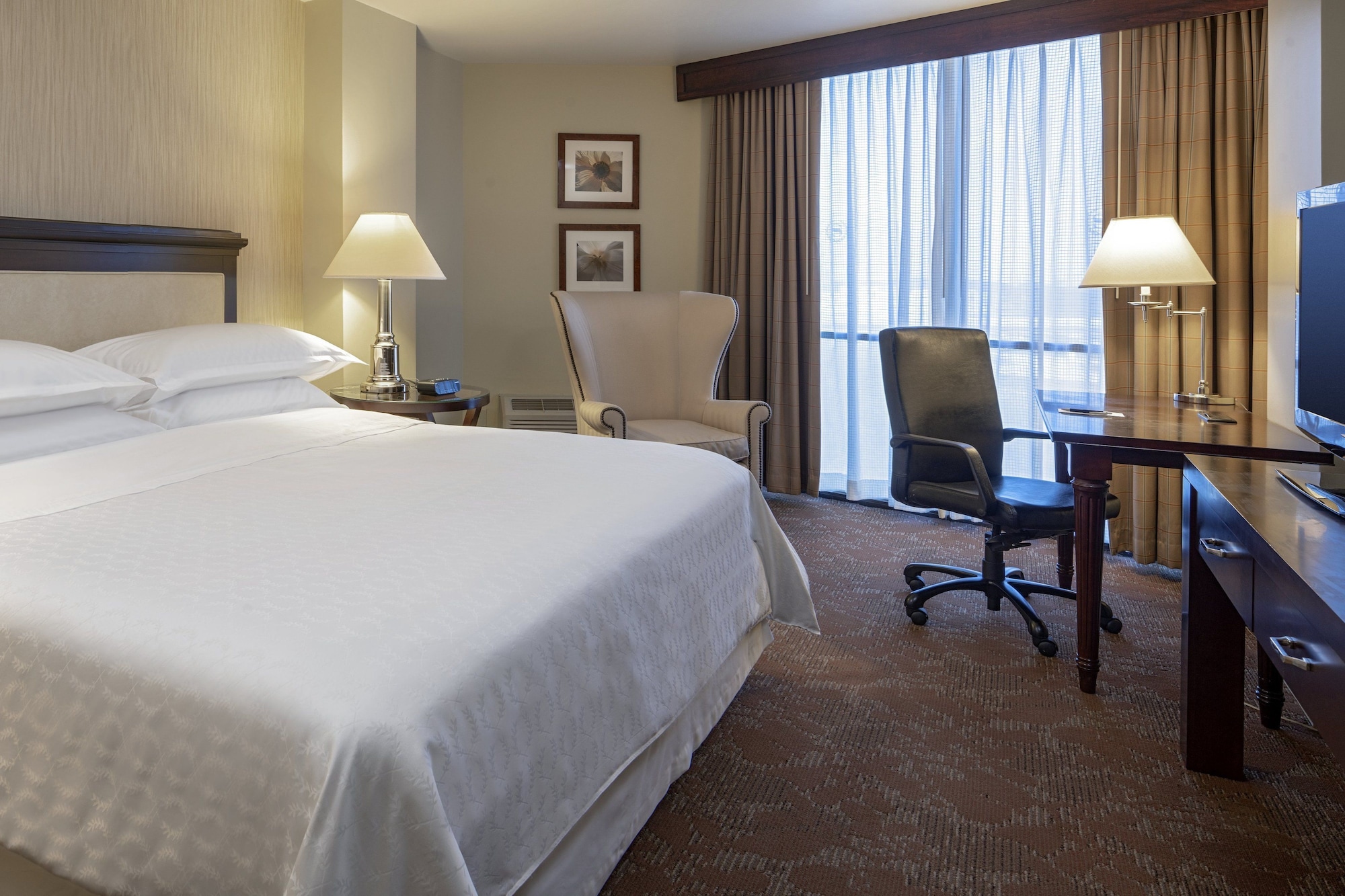 Room at Sheraton Houston Brookhollow, HOUSTON - TX