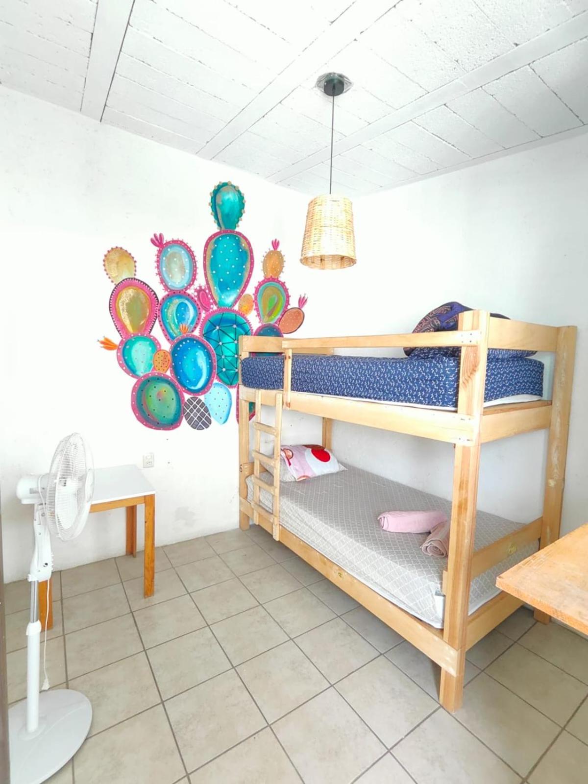Hotel Casa Maguey 9/50