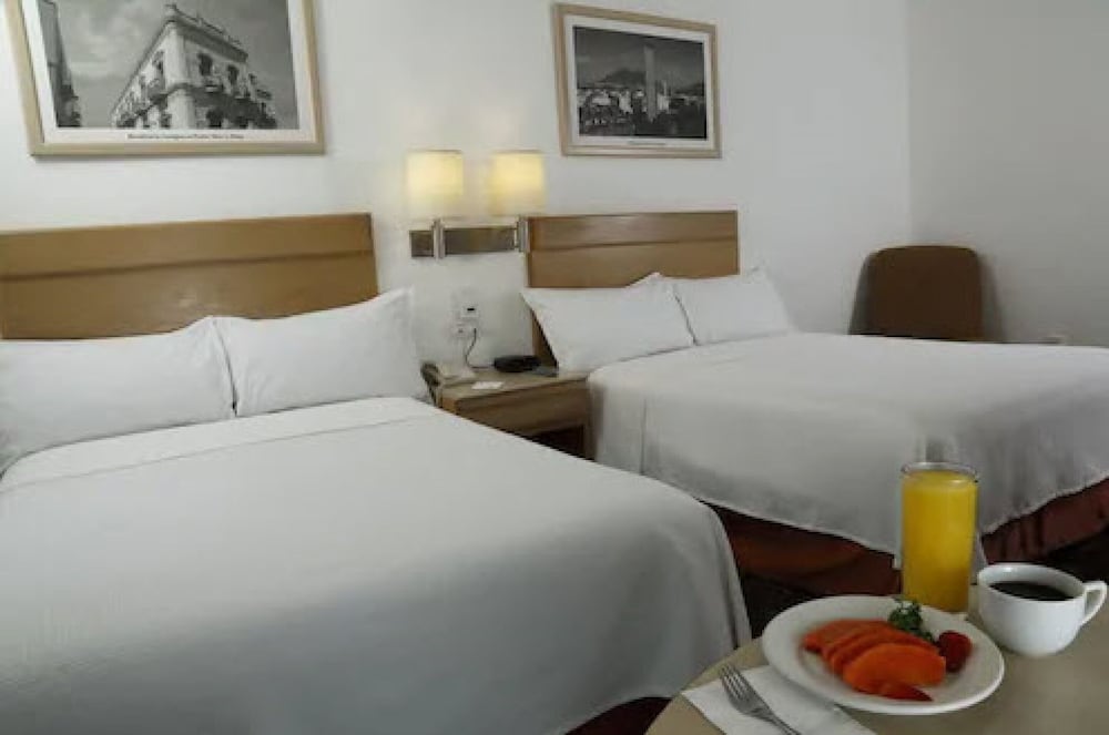 Hotel Monterrey Macroplaza 19/60