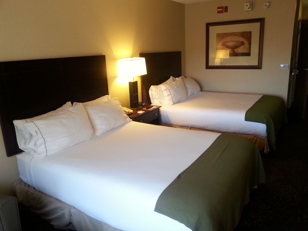 Holiday Inn Express & Suites Sandy - South Salt Lake City, an IHG Hotel 13/56