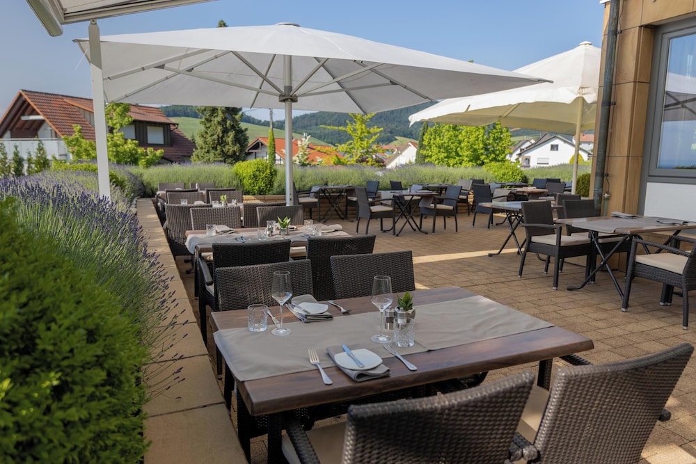 Hotel Rebenhof 35/50