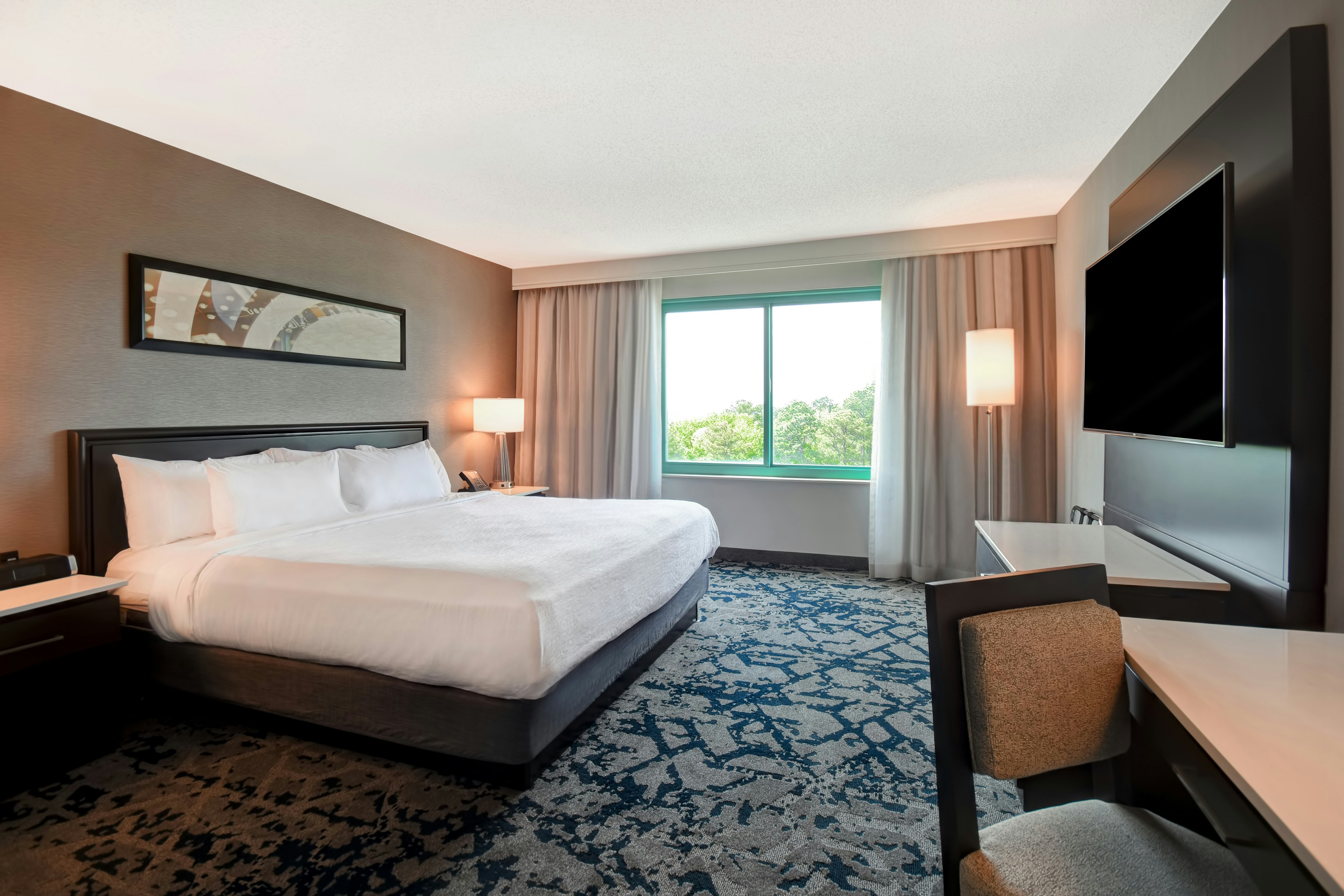 Fitness, Suite, King Bed