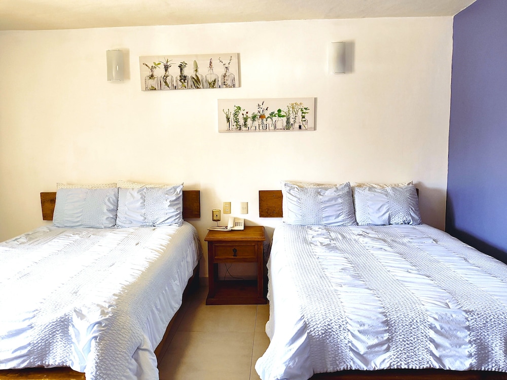 Hotel Jardines Del Carmen 10/50