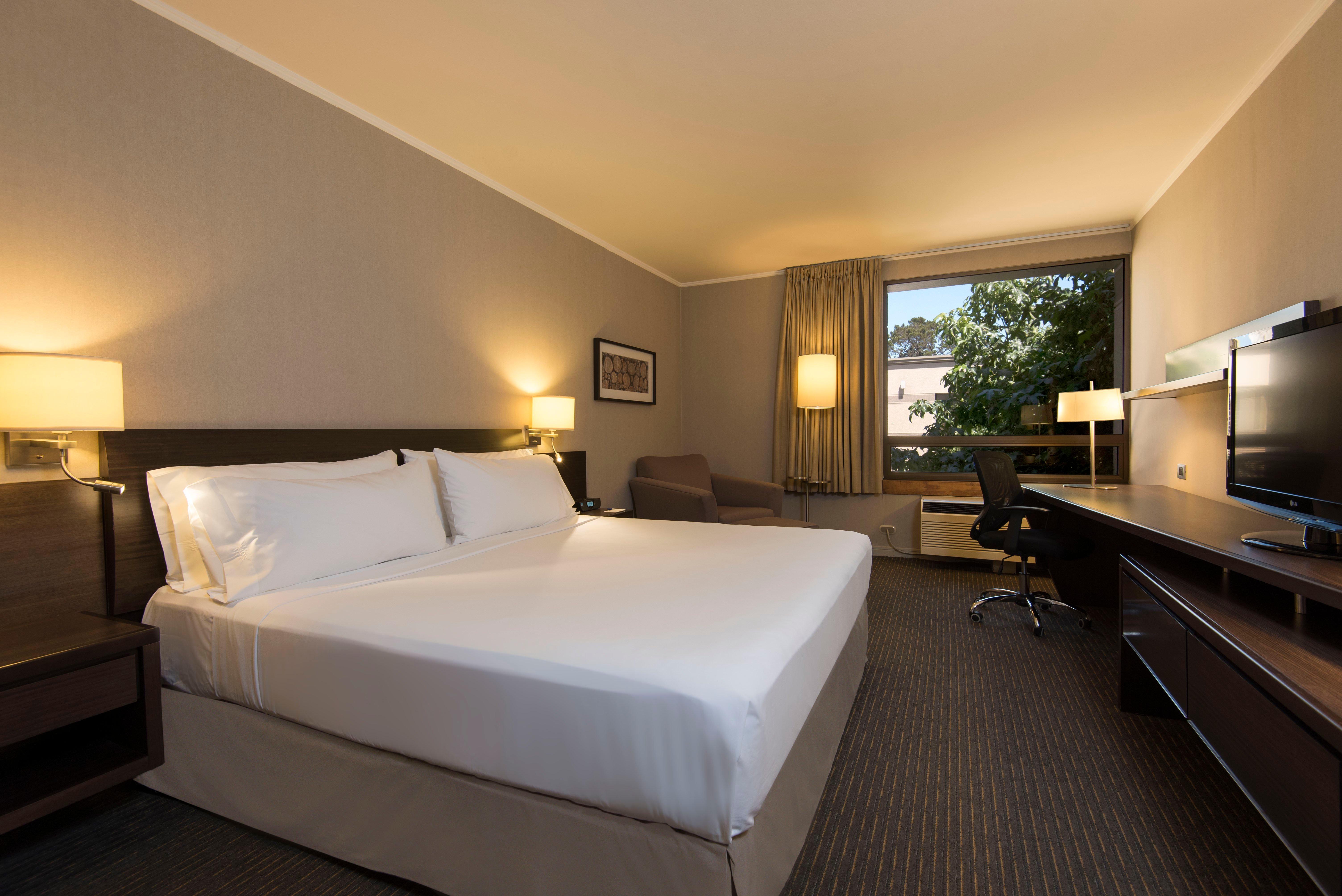 Room, King Bed
