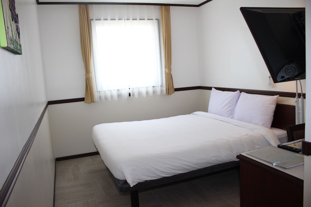 Toyoko Inn Cebu 22/61