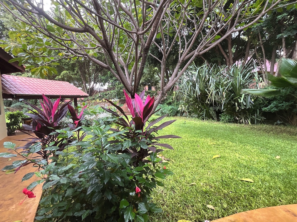 Pink Flamingo Boutique Hotel 43/48