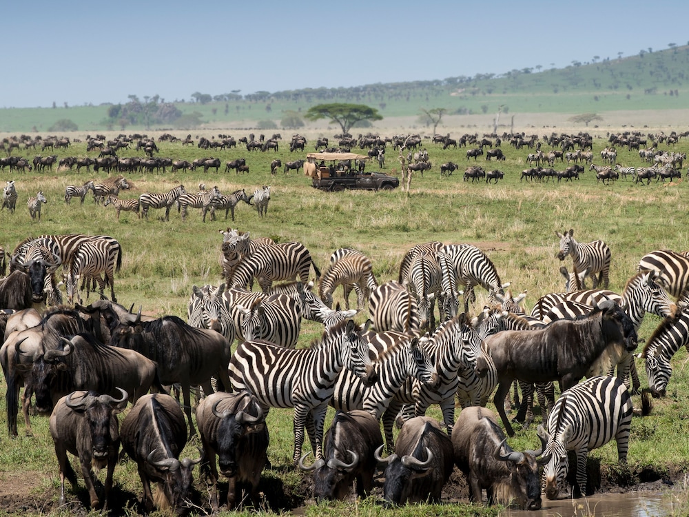 One Nature Nyaruswiga Serengeti 38/48